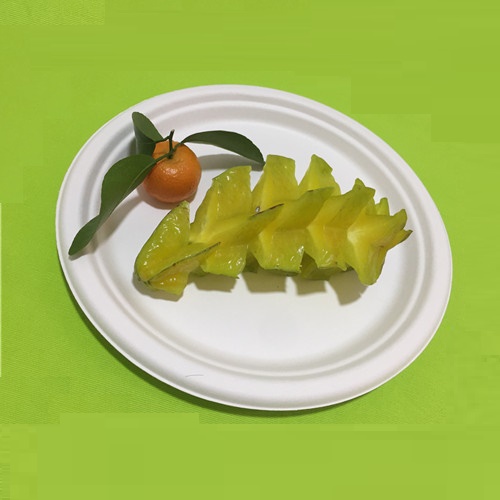 บนโต๊ะอาหารเป็นมิตรกับสิ่งแวดล้อม